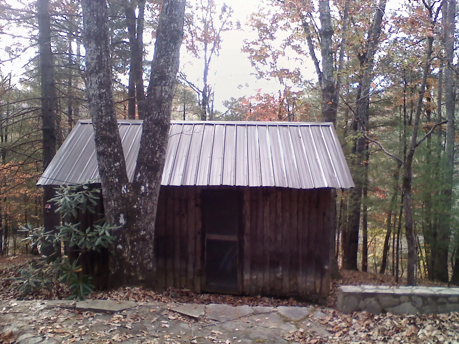 New metal gable roof on a small log shed among the trees in Bannock